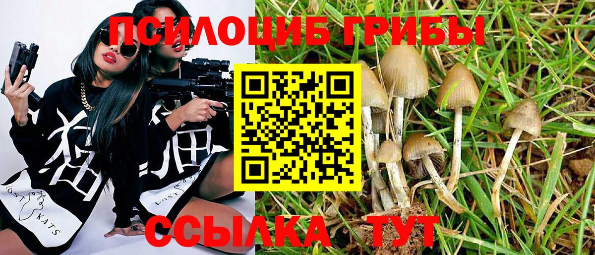 Галлюциногенные грибы ЛСД  Вход с VPN  Вышний Волочёк  Псилоцибиновые грибы Psilocybine cubensis 