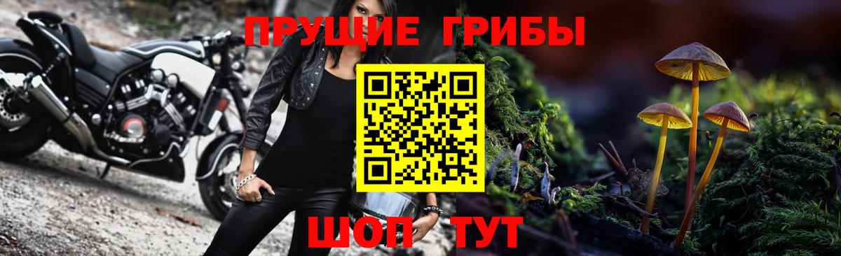 Псилоцибиновые грибы прущие грибы Вышний Волочёк